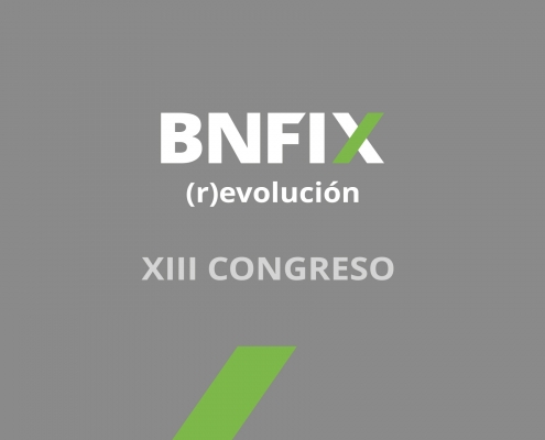 27445_BNFIX_CONGRESO_PANTALLA