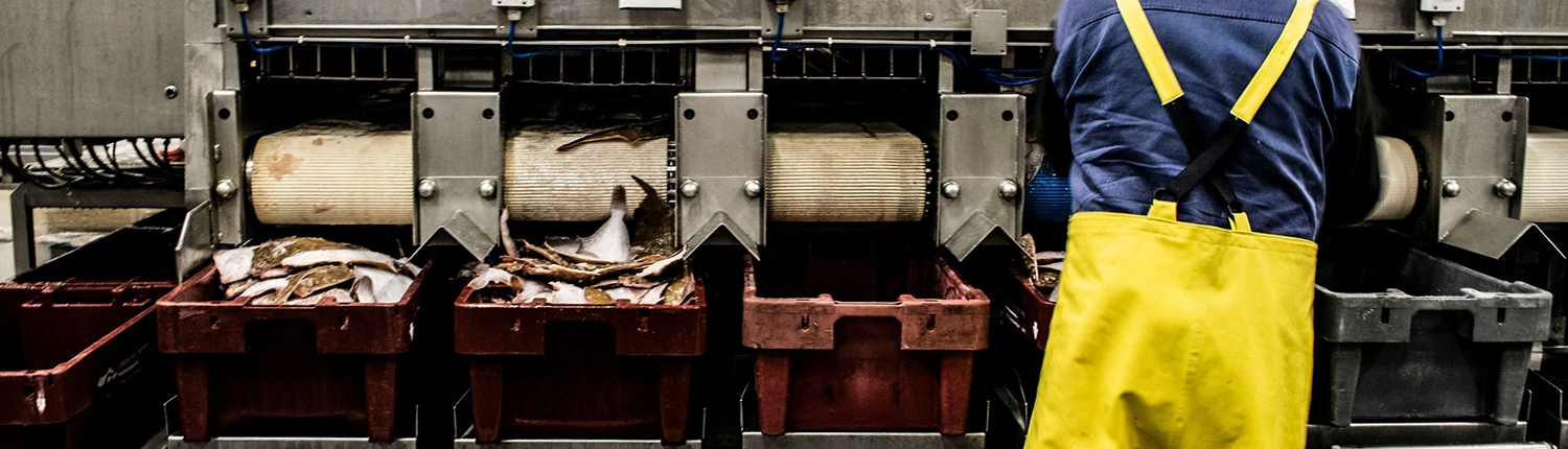 paul-einerhand-InD2tBJODcM-unsplash_trabajador_1500x1000